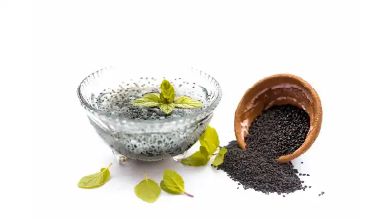 Chia Seed or Sabja Seed