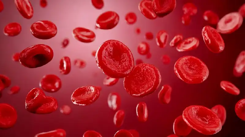 Symptoms of Blood Cancer