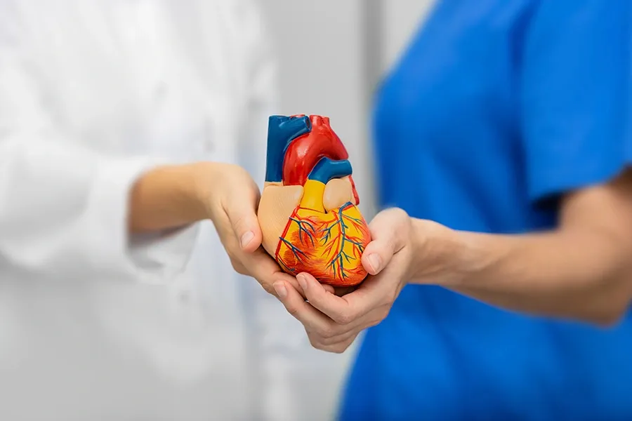 What are the 4 Stages of Cardiomyopathy