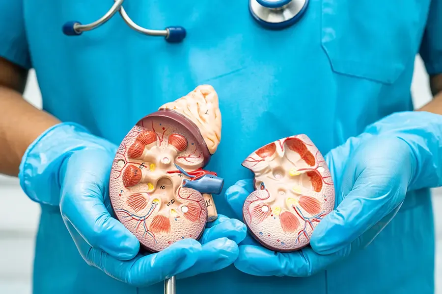 What are the Characteristics of End Stage Renal Disease