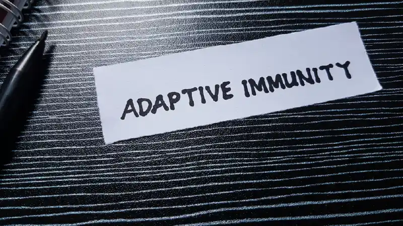 Adaptive Immunity